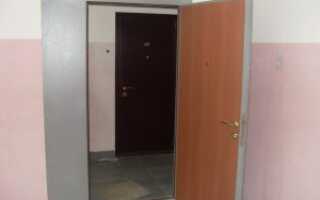 Современные тамбурные металлические двери