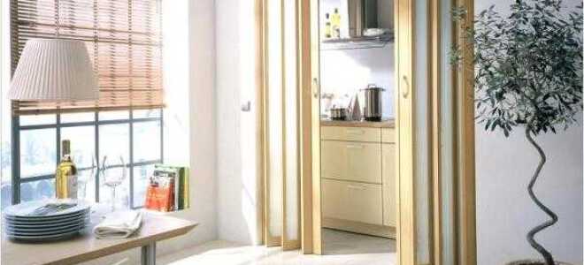 В каких случаях и почему выбирается дверь гармошка