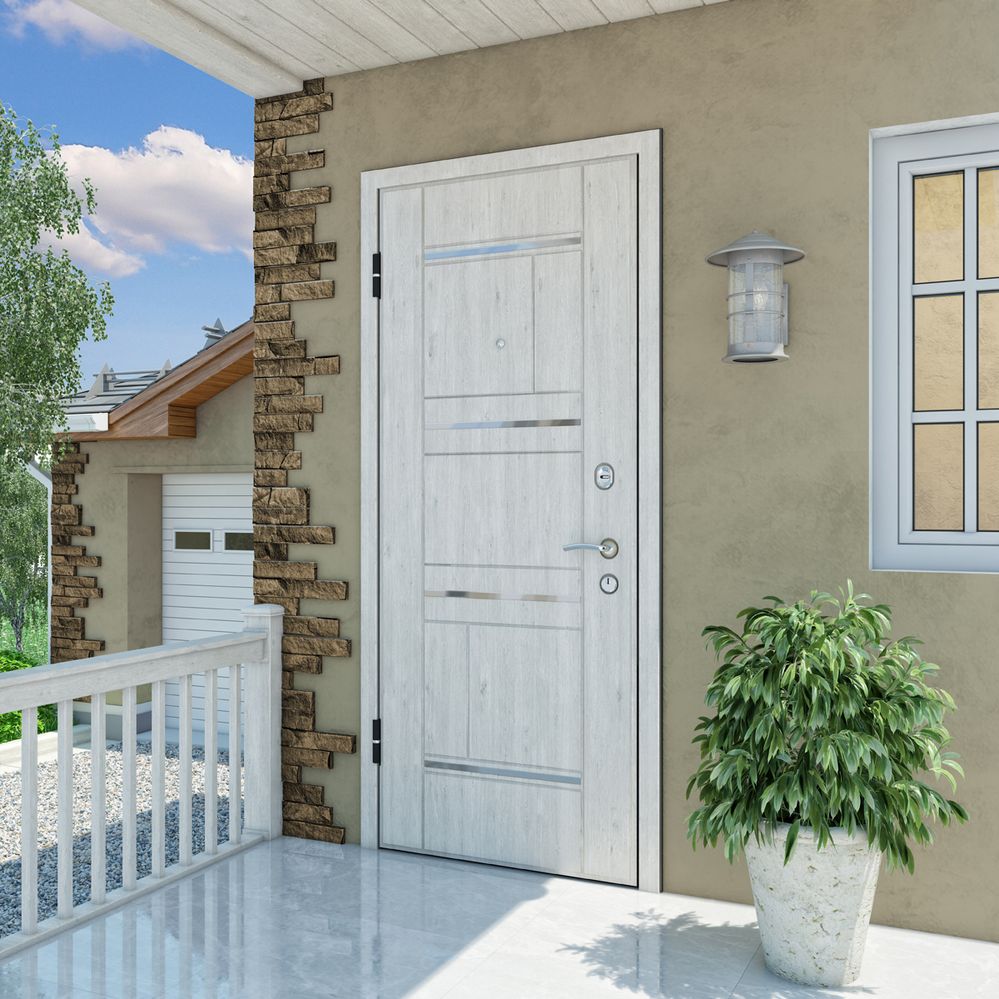 Белая дверь на входе в частный дом
