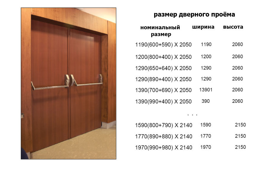 Размеры двухстворчатых дверей